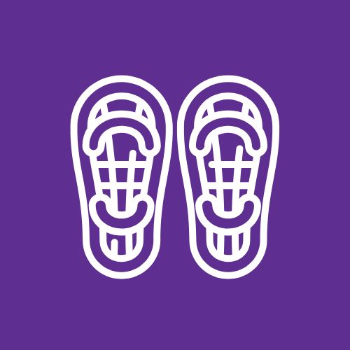 Snowshoes icon